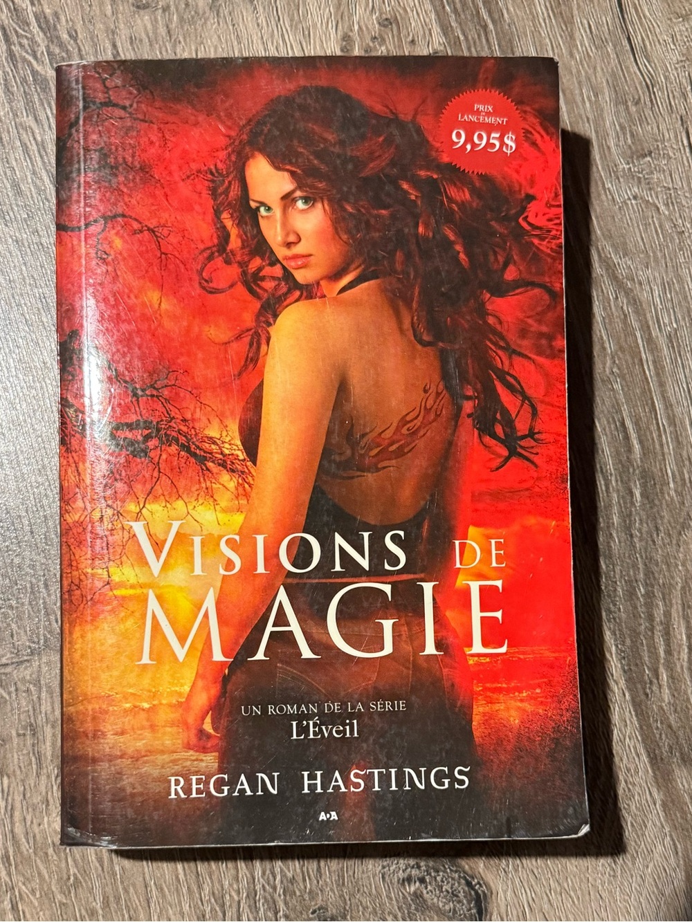Visions de Magie Paperback Book - Tome 1